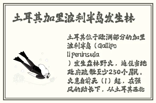 火影黑土腿技娴熟